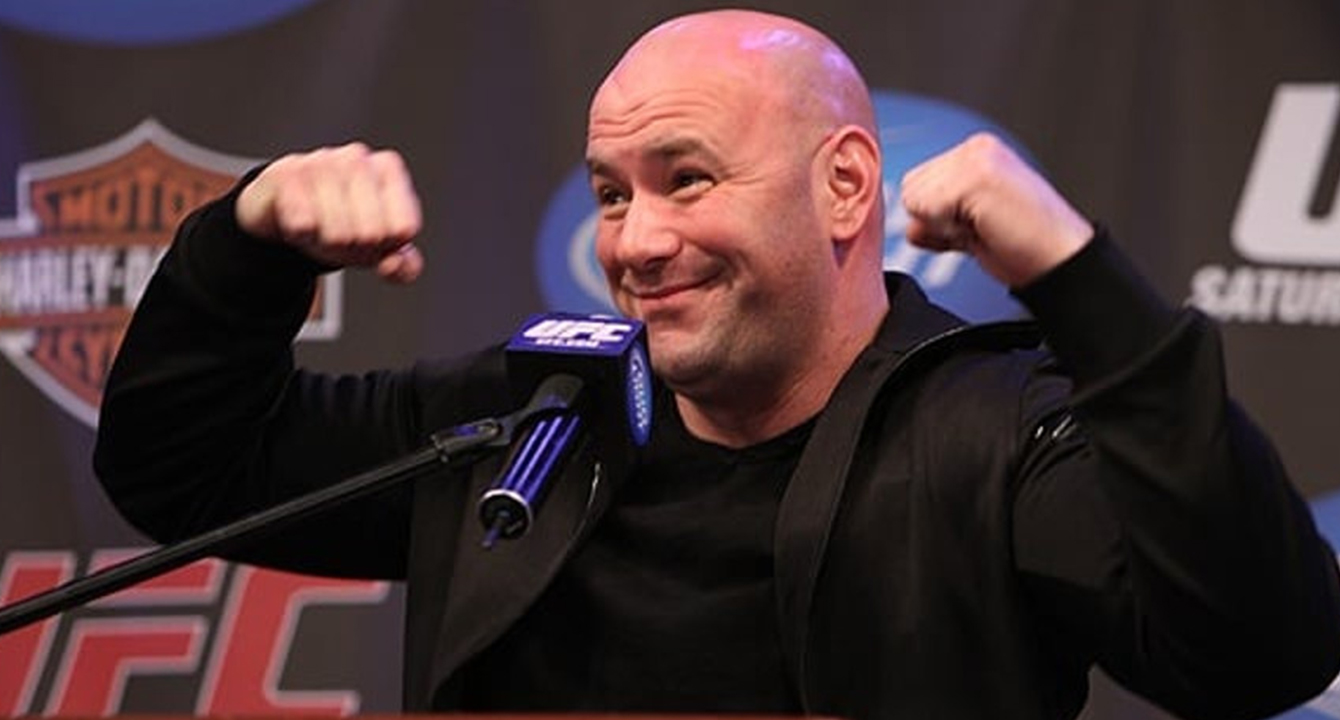 САМЫЙ «УДАРНЫЙ» ТУРНИР В ИСТОРИИ И ДРУГИЕ СТАТИСТИЧЕСКИЕ ИТОГИ ТУРНИРОВ UFC В ПРОШЕДШЕМ ГОДУ